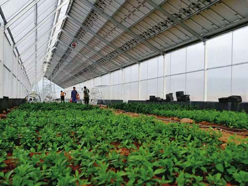 楚宏農(nóng)業(yè) 專(zhuān)業(yè)打造昆明溫室大棚，助力高原特色農(nóng)業(yè)發(fā)展