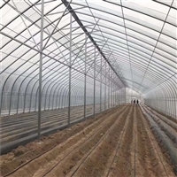 連棟薄膜溫室大棚 結(jié)構(gòu)解析、價(jià)格因素與大棚薄膜選型指南